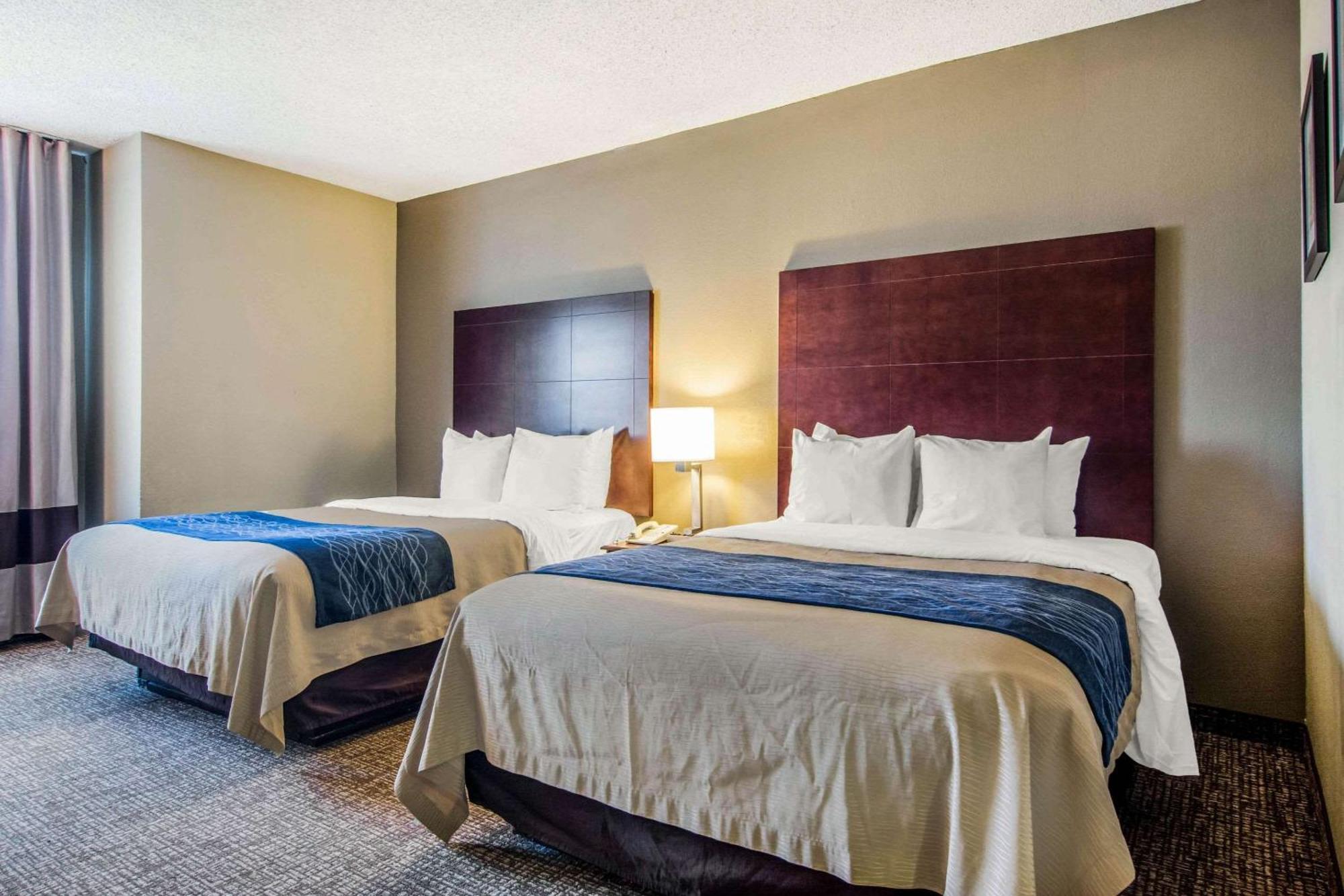 Queen Room with Two Queen Beds - Non-Smoking,1434308170:JPEG