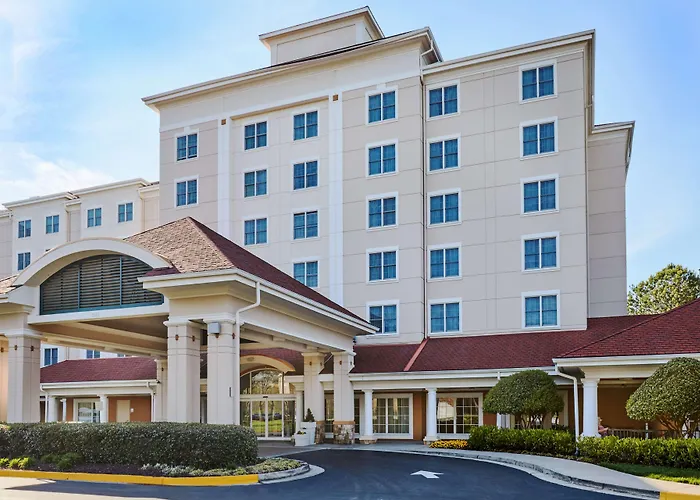 Cheap hotel: Sonesta Atlanta Airport South